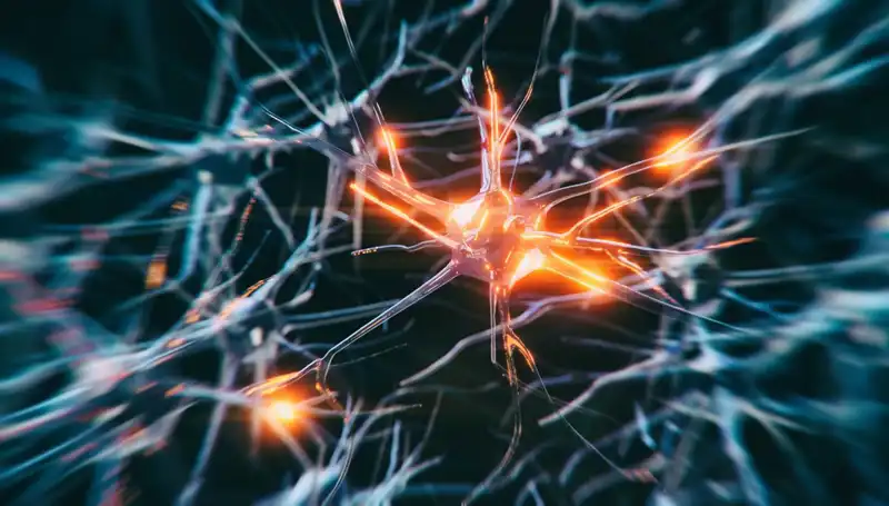 Alzheimer Vakalarının Artışı: Nedenleri ve Geleceği Üzerine Derinlemesine Bir İnceleme
