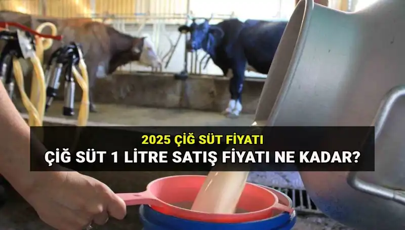 2025 Çiğ Süt Fiyatları: Ulusal Süt Konseyi'nden Gelen Son Rapor