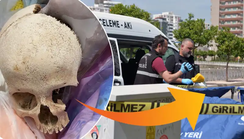 Sitenin Çöpünden Çıkan Kafatasının Sırrı: Uzman Doktor Gözaltına Alındı