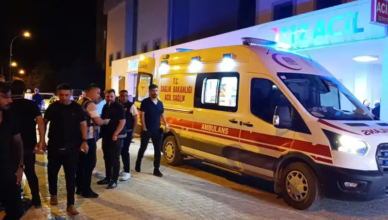 Kardeşinin Kavgasına Müdahale Eden Genç, Feci Bir Sonla Karşılaştı