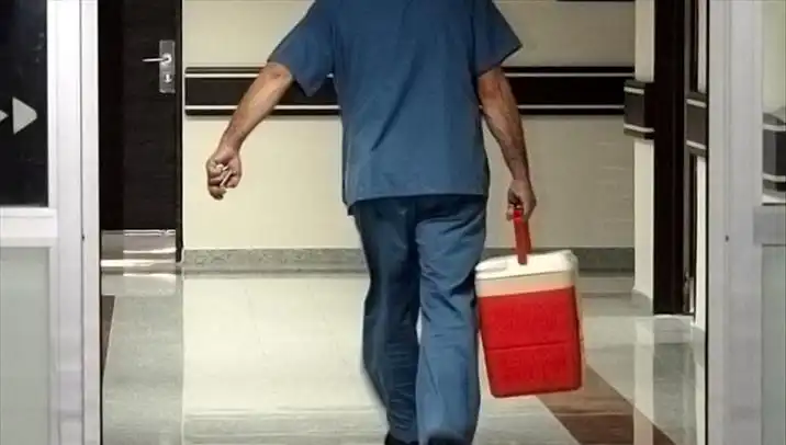 Organ Bağışında Dijital Dönüşüm: e-Devlet ve e-Nabız ile Kolaylık Sağlanıyor
