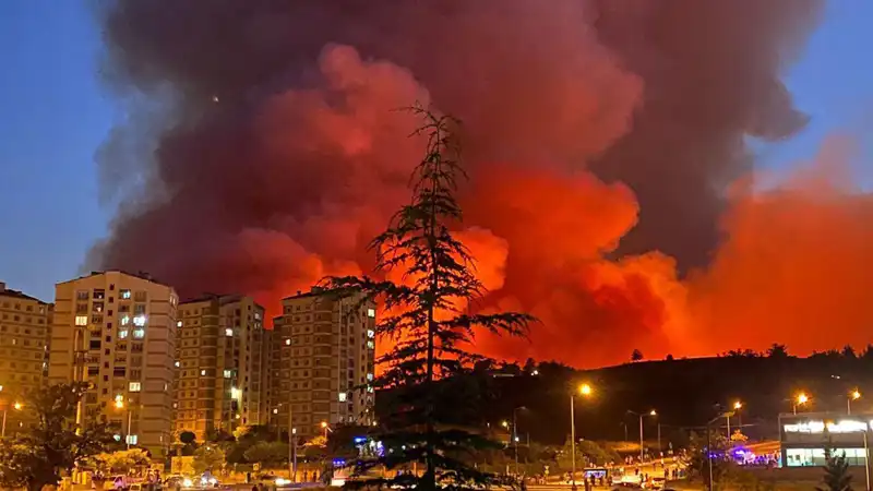 Bursa'da Patlayan Yangınlar: Şehir Göz Göre Göre Yanıyor, Nedenleri Araştırılıyor