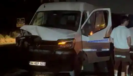 İstanbul'da Manda Kazası: Üç Yaralı, Olayın Detayları Şaşırtıyor