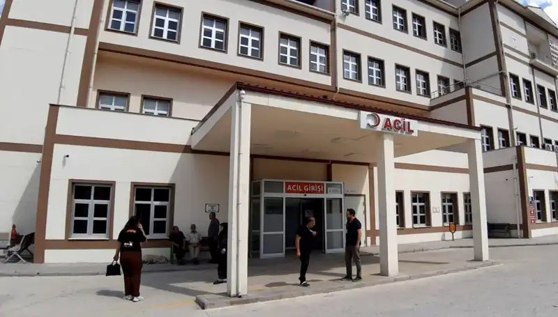 Bolu'da Kontrolsüz Ayı Avı Kararı: Doğanın Dengesini Tehdit mi Ediyor?