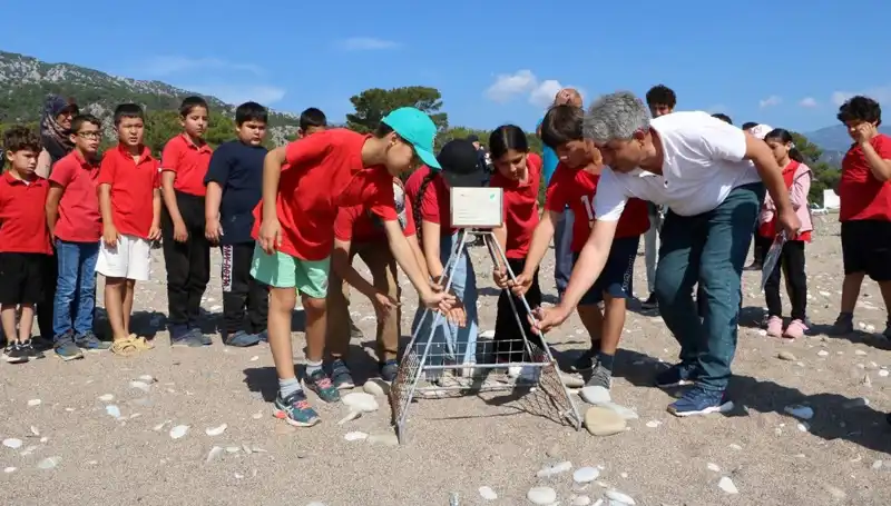 Kemer'de Caretta Caretta Koruma Yasakları: Deniz ve Plajlar Güvende