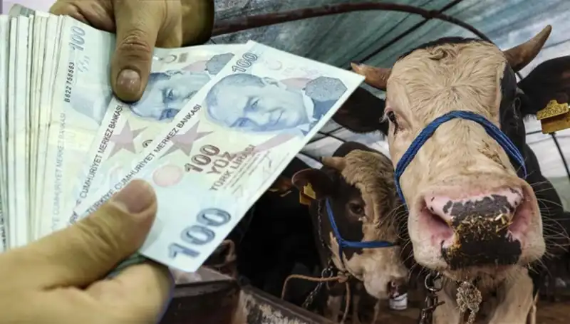Memur ve Emekli Maaşları Bayram Öncesinde Yatacak mı? Detaylar Açıklandı!
