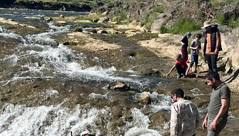 İnci Kefalinin Gizemli Göçü: Binlerce Turistin Dikkatini Çekiyor