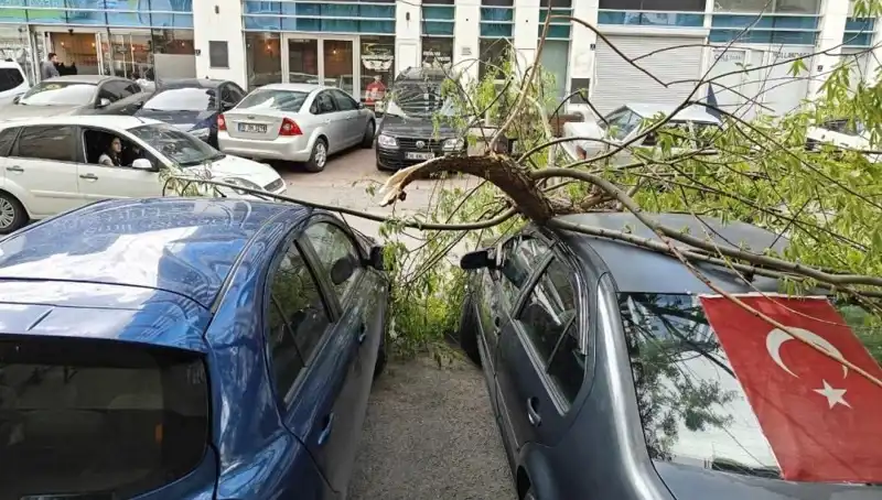 Kayseri'de Fırtına: Dalları Kırdı, Şehir Karanlığa Gömüldü