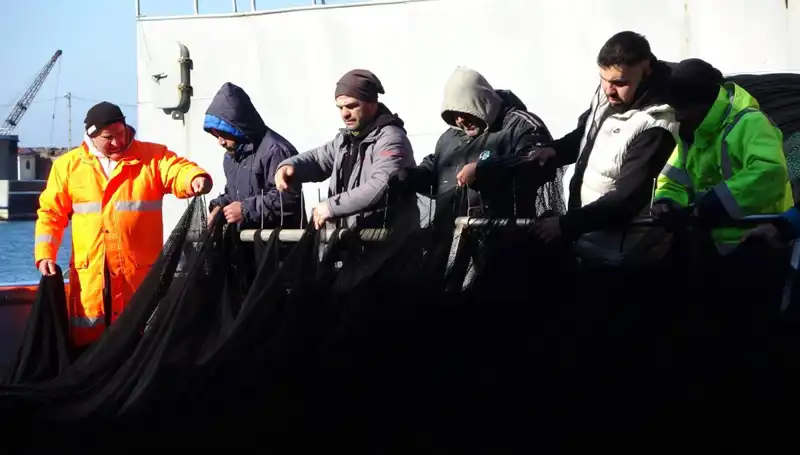 Denizlerde Hamsi Avı Tehlikede: Tekneler Neden Erken Dönüyor?