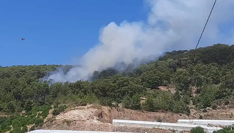 Kumluca'da Çıkan Orman Yangını: Söz Konusu Tehlike ve Kurtarma Çabaları