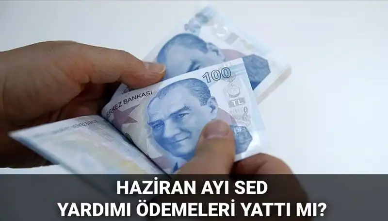 Haziran 2025 SED Ödemeleri: Sorgulama Nasıl Yapılır, Yattı mı?